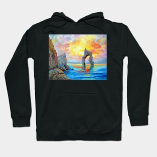 On the rocky seashore Hoodie